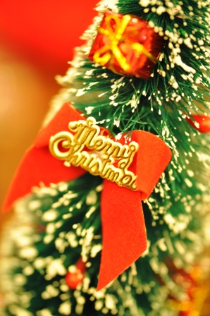 December 23 2011 Categories Candy Pullip Ddalgi Festive Season 
