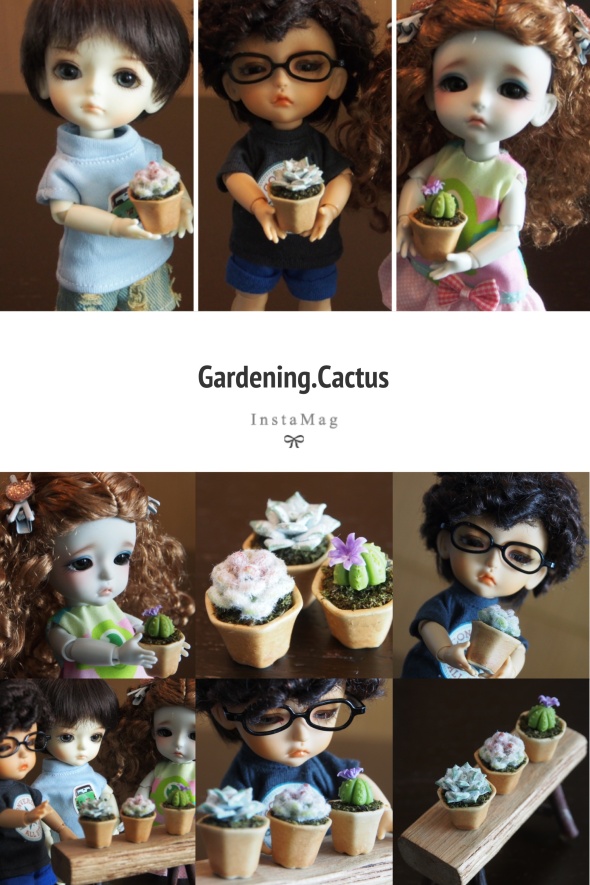 Gardening on Cactus