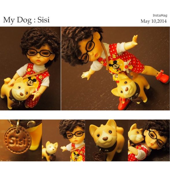 My Dog : Sisi